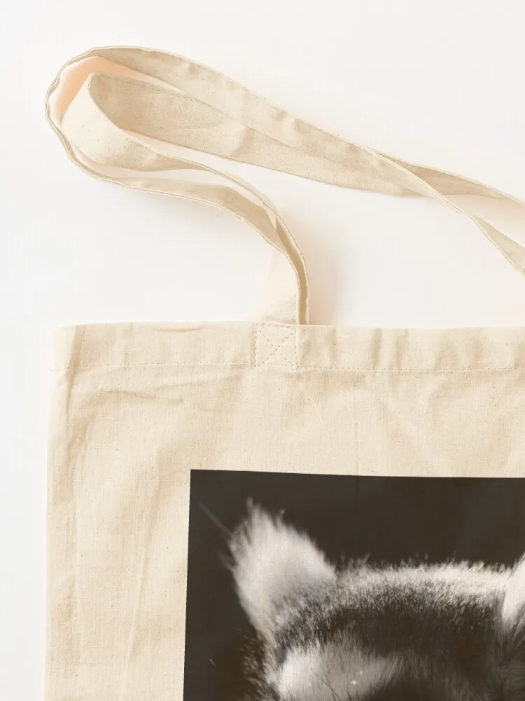 กระเป๋าถือรูปทรงเลมูร์หางแหวน  - Handbags บทวิจารณ์และราคา