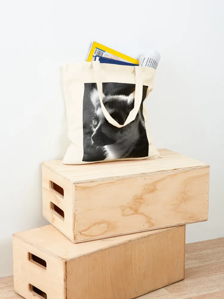 กระเป๋าถือรูปทรงเลมูร์หางแหวน  - Handbags บทวิจารณ์และราคา